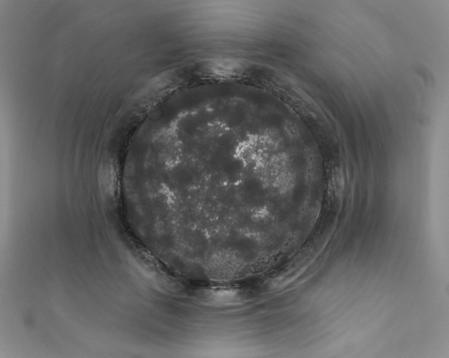 X0000112000651200908031230