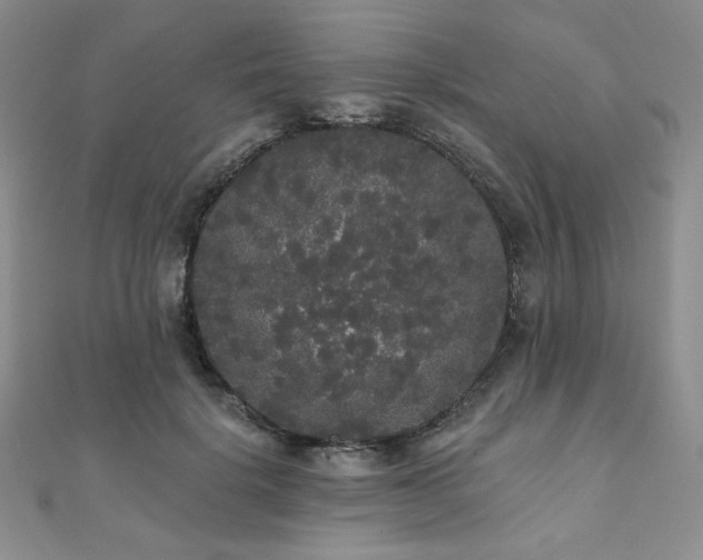 X0000112000652200908031230