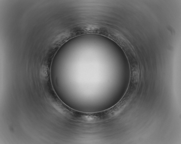 X0000112000654200908031230