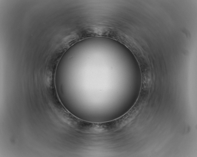 X0000112000656200908031230