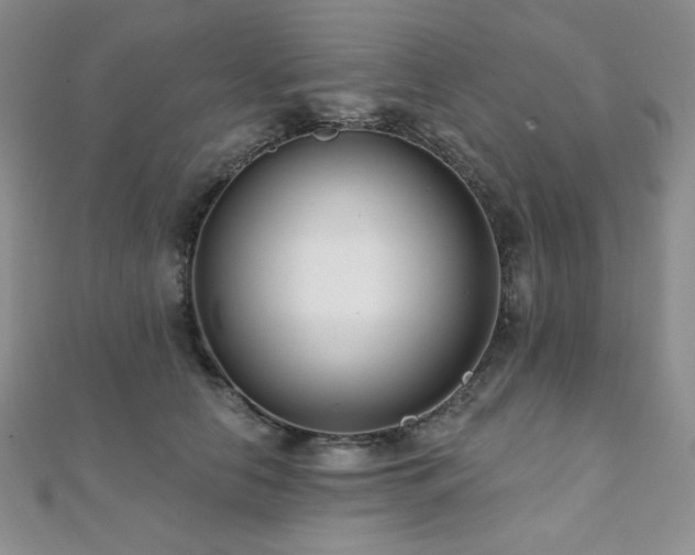 X0000112000658200908031230