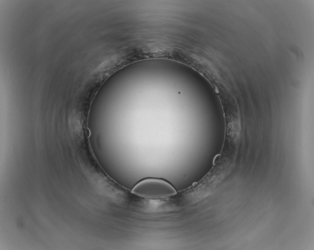 X0000112000662200908031230