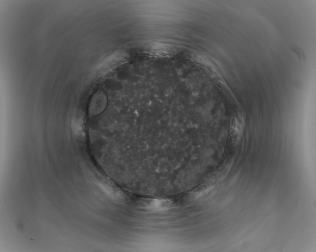 X0000112000663200908031230