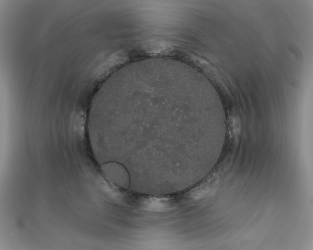 X0000112000664200908031230