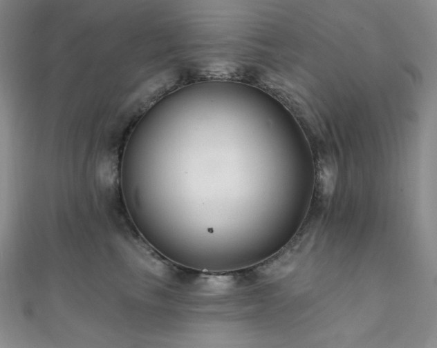 X0000112000665200908031230