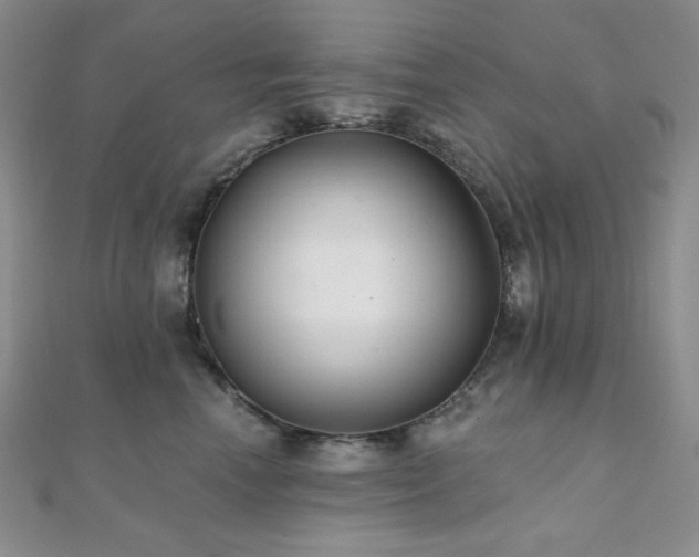 X0000112000666200908031230