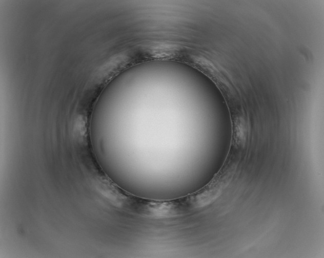 X0000112000667200908031230