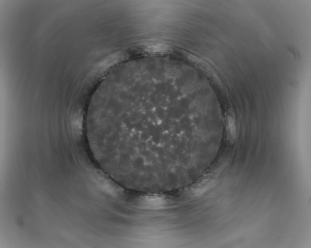 X0000112000668200908031230