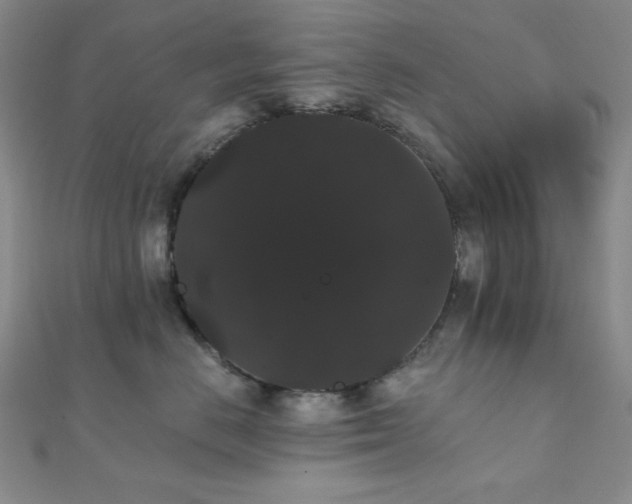 X0000112000670200908031230