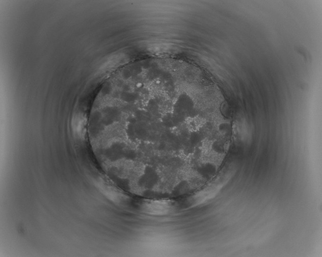 X0000112000671200908031230