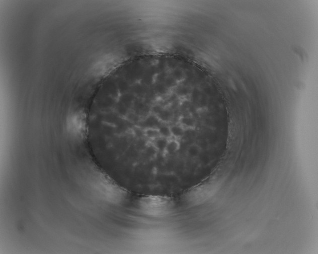 X0000112000672200908031230