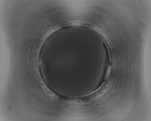 X0000112000673200908031229