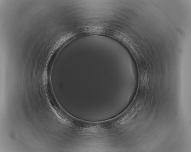 X0000112000674200908031229