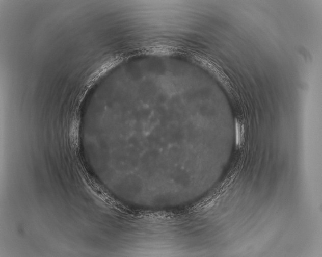 X0000112000675200908031229