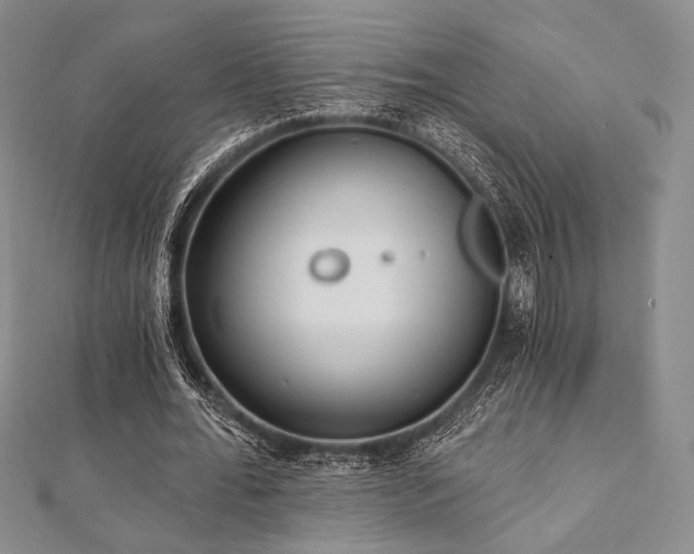 X0000112000676200908031229