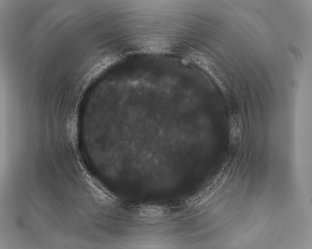 X0000112000677200908031229