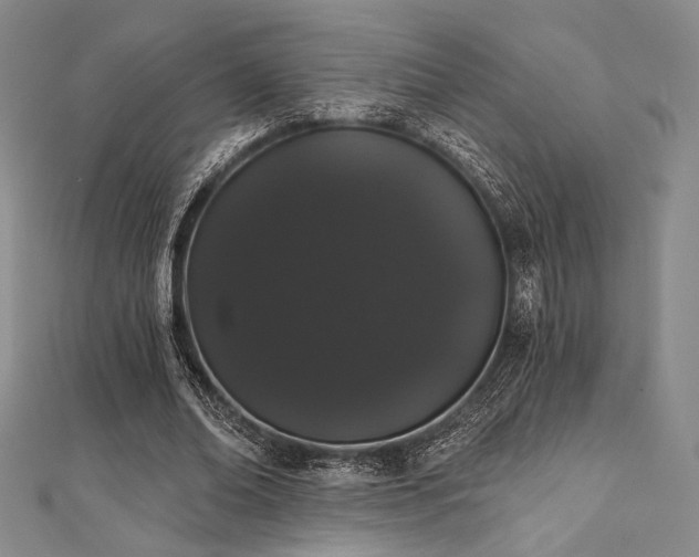 X0000112000678200908031229