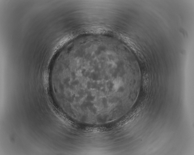 X0000112000679200908031229