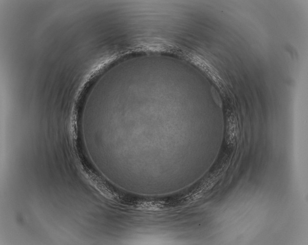 X0000112000680200908031229