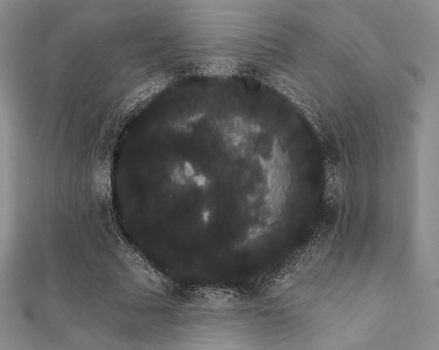 X0000112000681200908031229