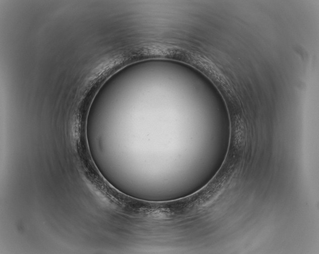 X0000112000683200908031229