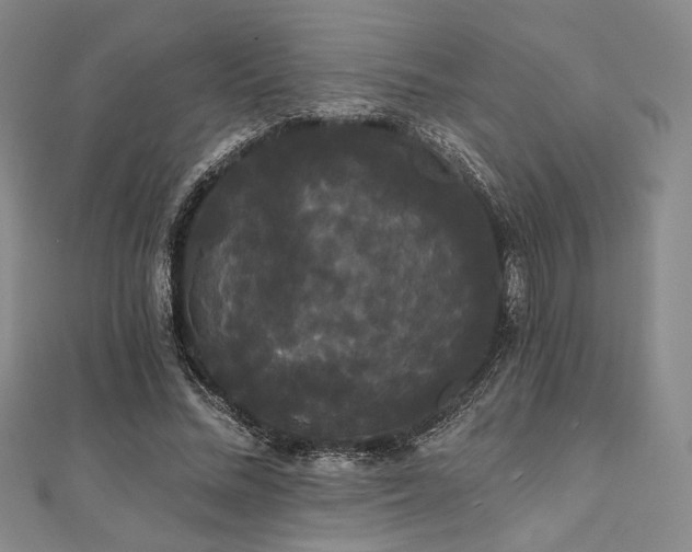 X0000112000684200908031229