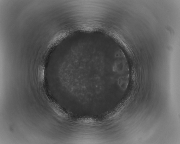 X0000112000685200908031229