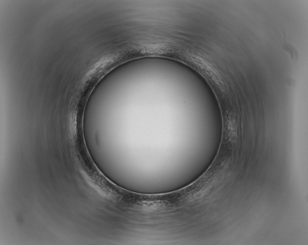 X0000112000686200908031229