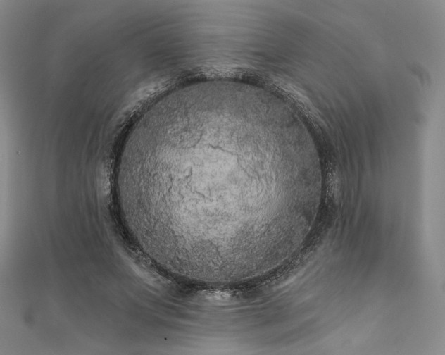 X0000112000687200908031229