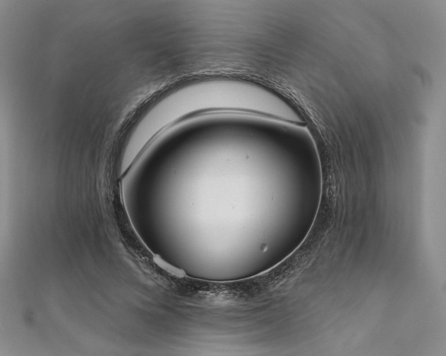 X0000112000688200908031229