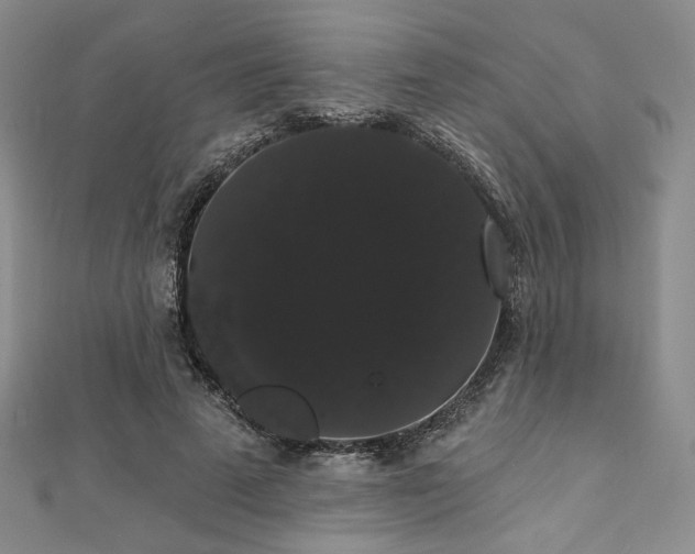 X0000112000689200908031229