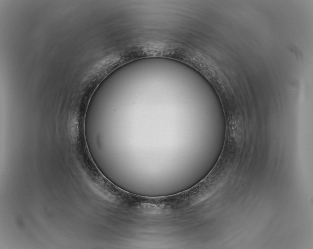 X0000112000690200908031229