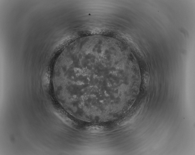 X0000112000691200908031229