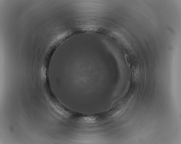 X0000112000692200908031229