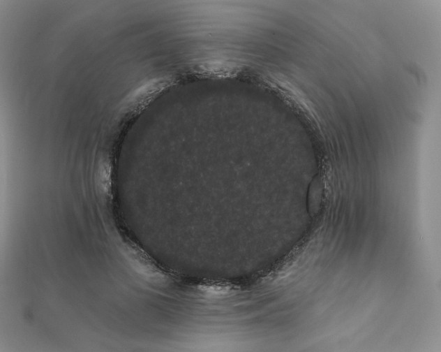 X0000112000693200908031229