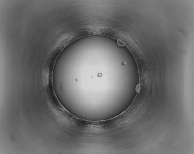 X0000112000694200908031229