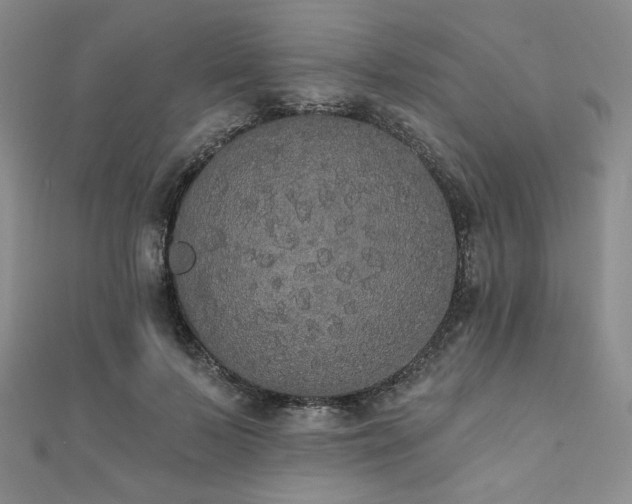 X0000112000695200908031229