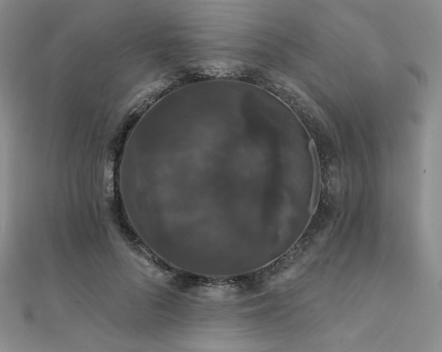 X0000112000696200908031229