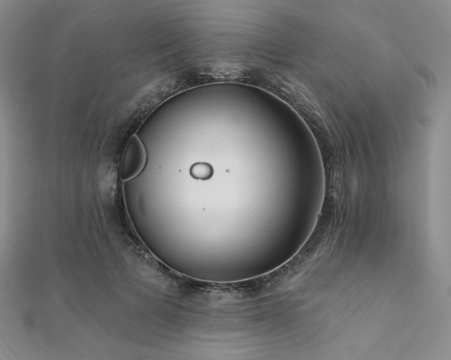 X0000112000697200908031229