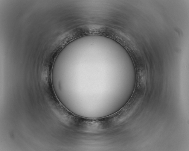 X0000112000698200908031229