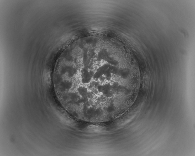 X0000112000699200908031229