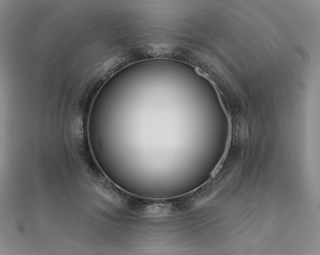 X0000112000700200908031229