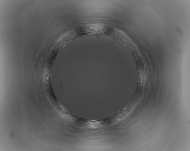 X0000112000701200908031229