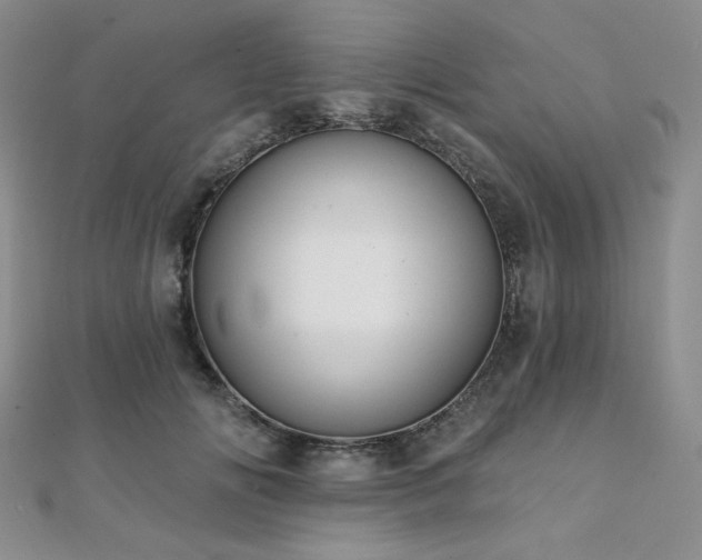 X0000112000702200908031229