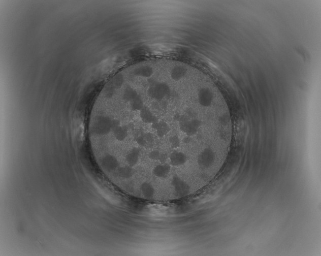 X0000112000703200908031229