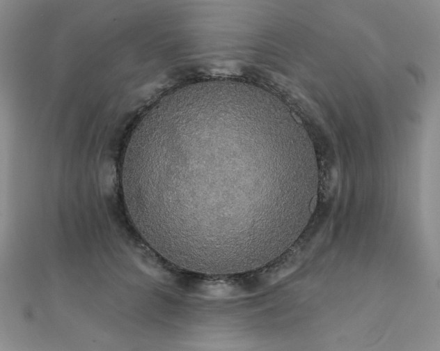 X0000112000704200908031229