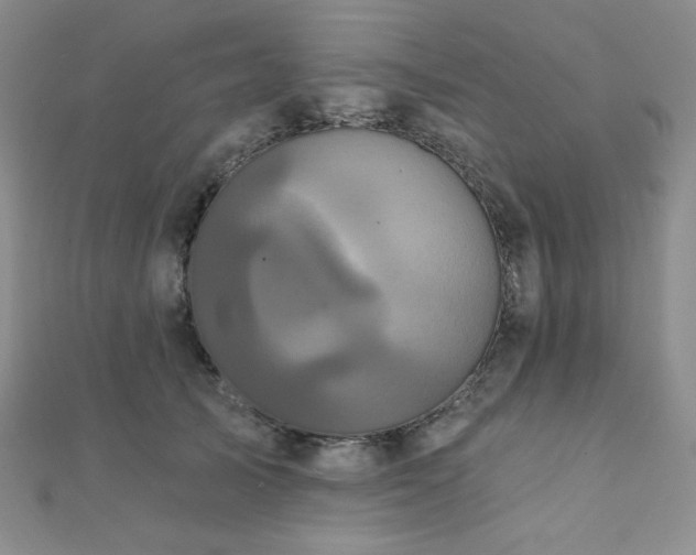 X0000112000705200908031229