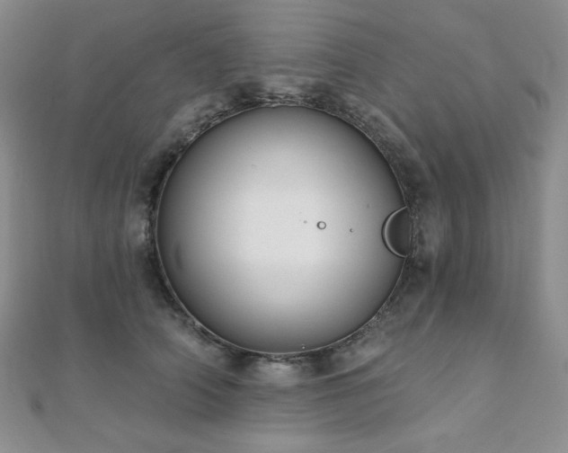 X0000112000706200908031229