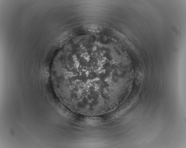 X0000112000707200908031229