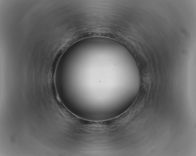 X0000112000708200908031229